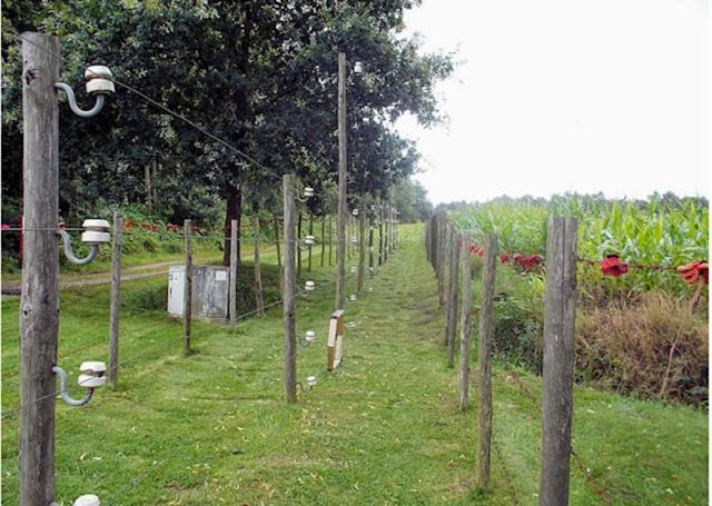 Villa La Petite Fleur Baarle-Nassau Esterno foto